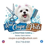 coupe-o-poils