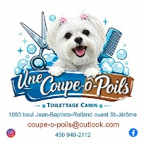 coupe-o-poils